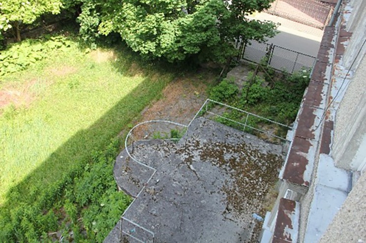 Żary