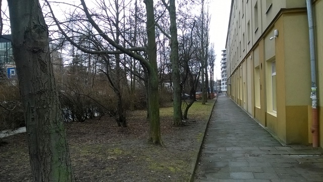 69cc0eae09cbf_WP_20170222_14_46_09_Pro 