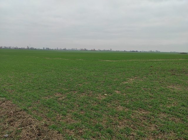 692eea2ca59c6_IMG_20230124_104845 