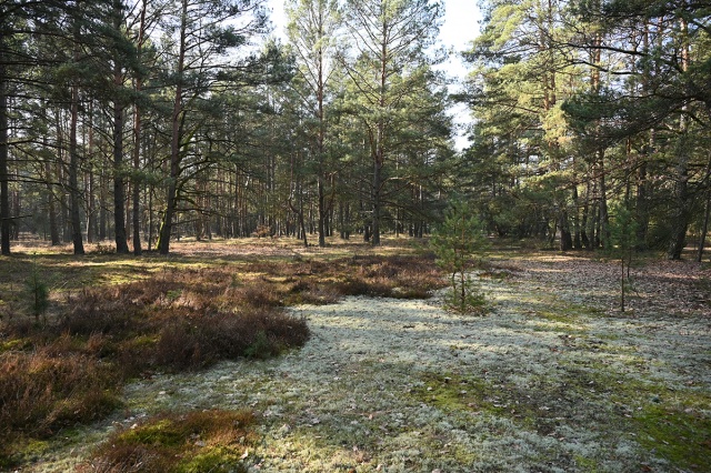 69b295fbe2367_BYD_6357 