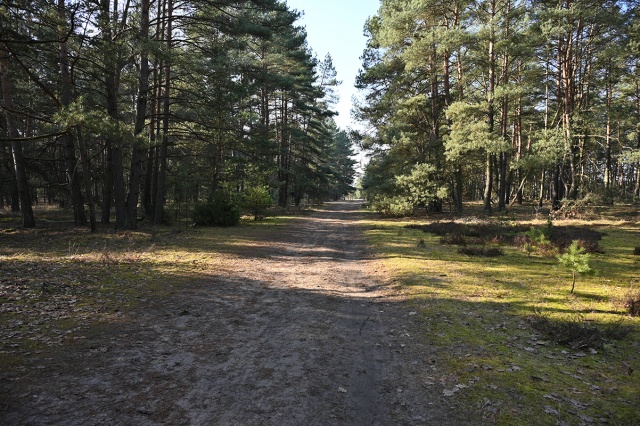 69b296065f104_BYD_6366 