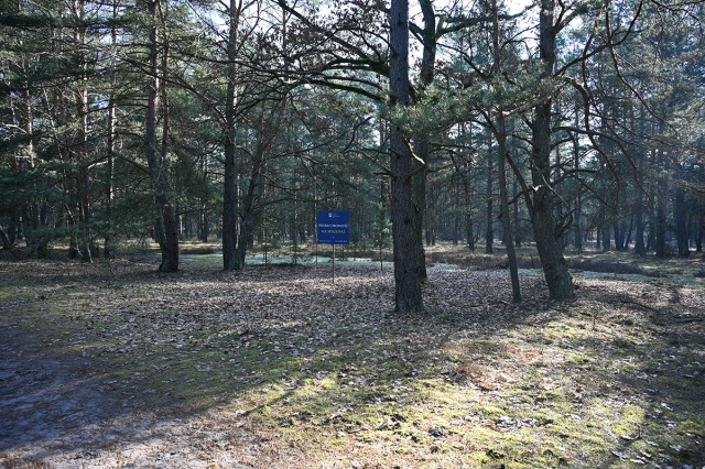 69b29616e71c4_BYD_6375 