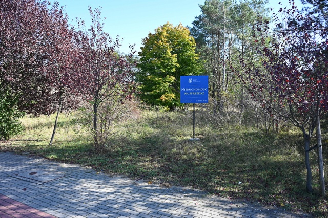 6734f68fed277_BYD_1363 