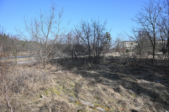 69b2c96ce5b06_BYD_6428 