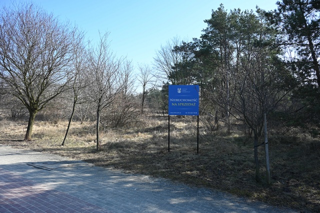 69b2c97a300e8_BYD_6433 