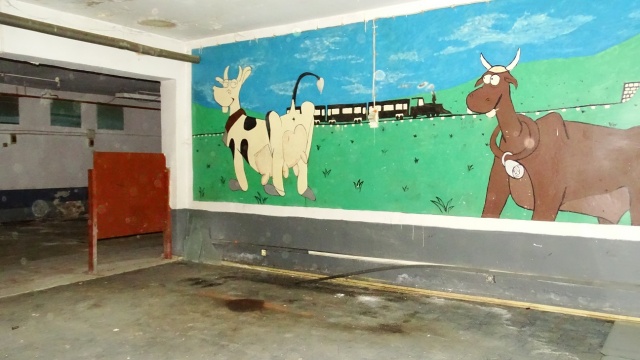 6862922c61896_DSC00038 