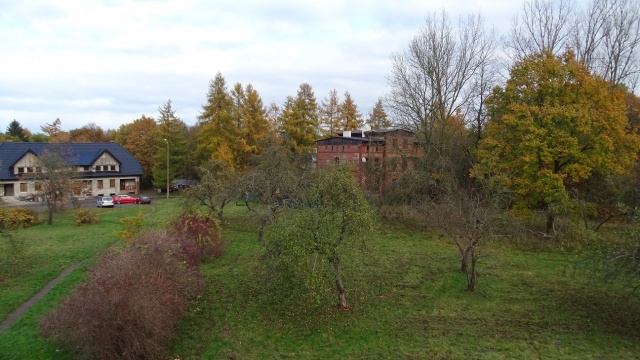 68dea9d2e1b8d_DSC00063 