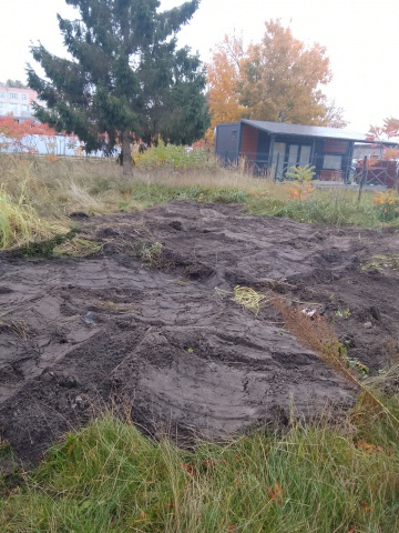 69b84dd7d38e7_243823568271702118 