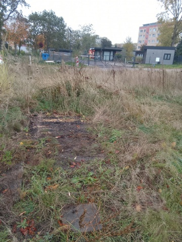 69b84de8e2a6c_4655270747737665863 