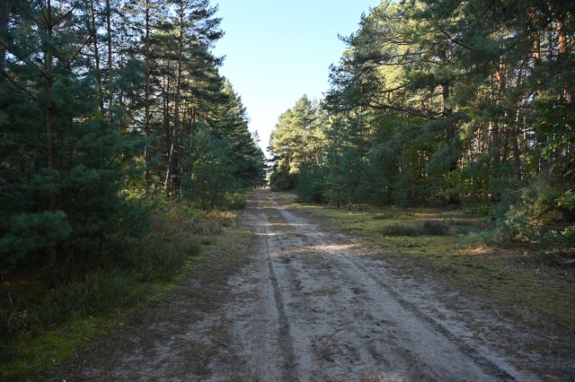 673b862fef59b_BYD_1279 