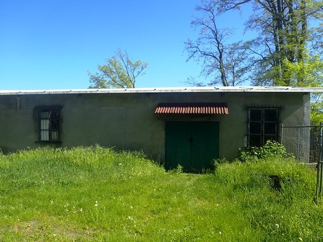 5b20134d37085_1-główne 