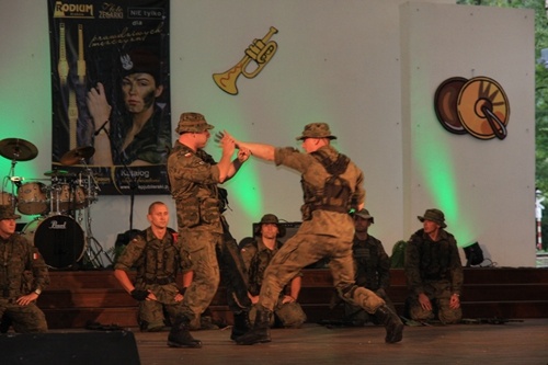 Military Festival Ustroń 2010 