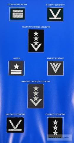 Oznaki stopni do beretu  