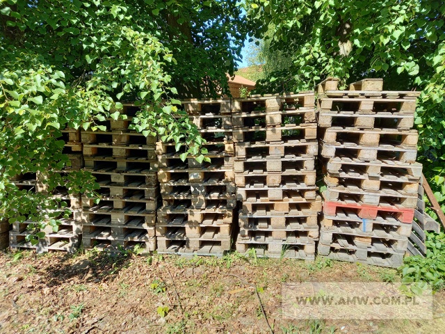 Odpadowe drewno (wybrakowane palety transportowe składowane na placu bez zadaszenia) (kod odpadu 17 02 01) 