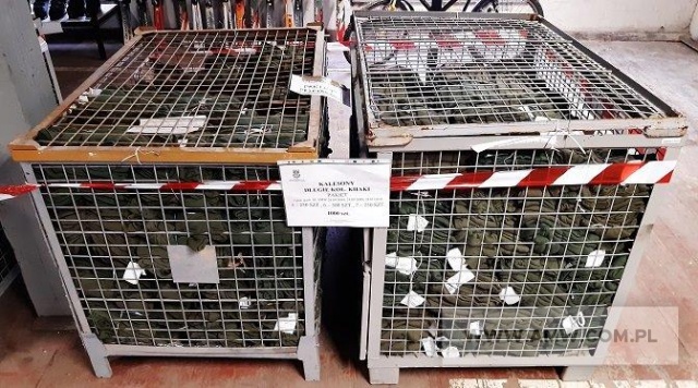 Kalesony długie koloru khaki (łącznie 1.000 szt.) – pakiet zawierający 3 poz. asort., w tym: rozmiar 5 – 250 szt., rozmiar 6 – 500 szt., rozmiar 7 – 250 szt. 