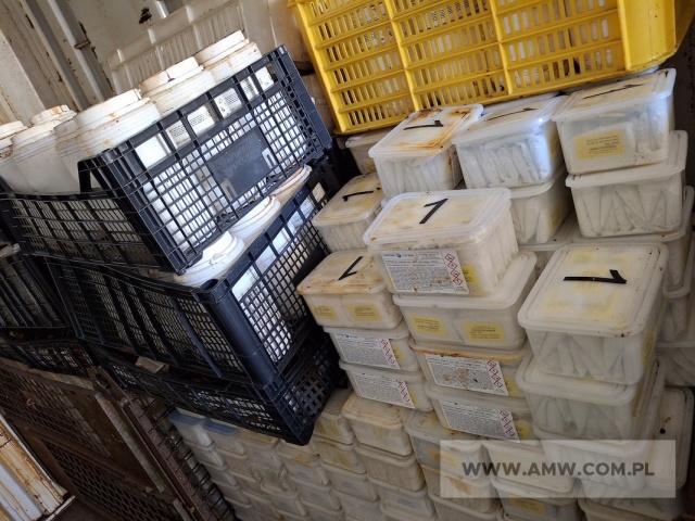 Zużyte nieorganiczne chemikalia zawierające substancje niebezpieczne (przeterminowany podchloryn wapnia, siarczan glinu) /kod odpadu 16 05 07*/ 