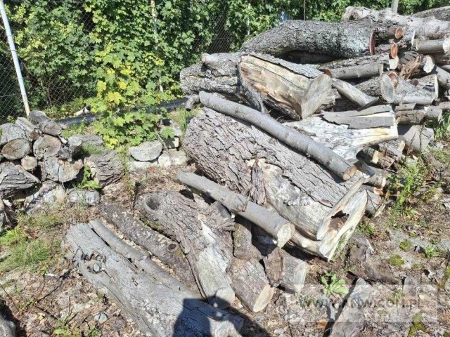 Drewno z wycinki - liściaste/iglaste  