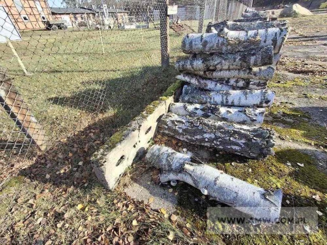 Drewno z wycinki - liściaste/iglaste 