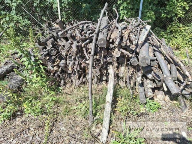 Drewno z wycinki - liściaste/iglaste  