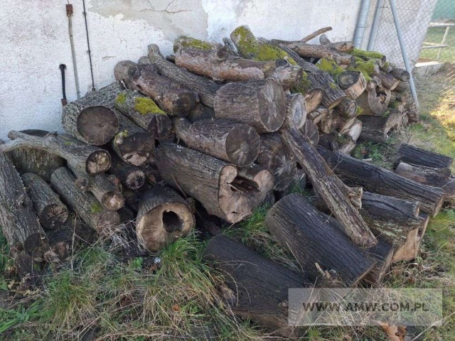 Drewno z wycinki - liściaste/iglaste 