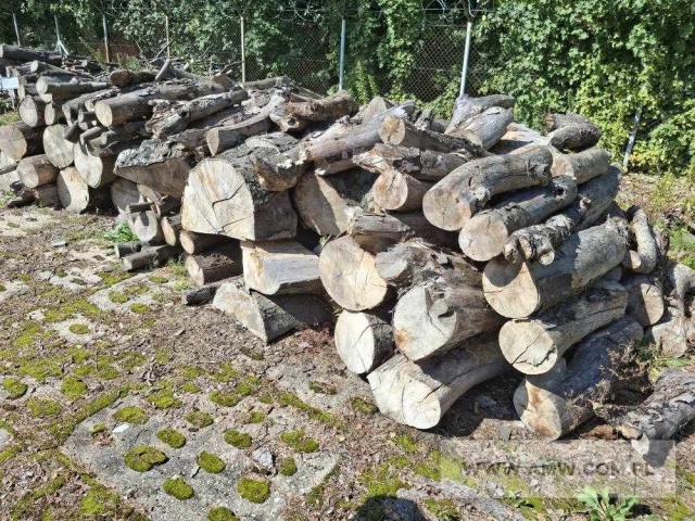 Drewno z wycinki - liściaste/iglaste  