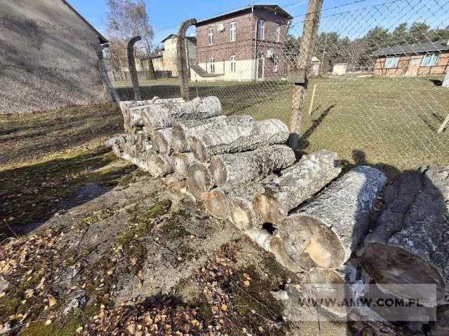 Drewno z wycinki - liściaste/iglaste 