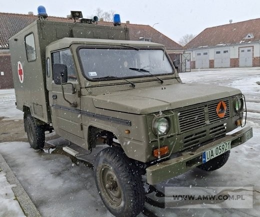 Samochód sanitarny 4-noszowy TARPAN IVECO (bez wciągarki i wyposażenia) 