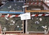 Kalesony długie koloru khaki (łącznie 1.000 szt.) – pakiet zawierający 4 poz. asort., w tym: rozmiar 5 – 250 szt., rozmiar 6 – 500 szt., rozmiar 7 – 250 szt. 