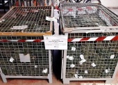 Kalesony długie koloru khaki (łącznie 1.000 szt.) – pakiet zawierający 3 poz. asort., w tym: rozmiar 5 – 250 szt., rozmiar 6 – 500 szt., rozmiar 7 – 250 szt. 