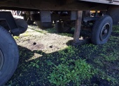 Przyczepa transportowa średniej ładowności D-633 (ładowność 3500 kg) 