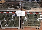 Kalesony długie koloru khaki (łącznie 1.000 szt.) - pakiet zawierający 3 poz. asort., w tym: rozmiar 5 - 250 szt., rozmiar 6 - 500 szt., rozmiar 7 - 250 szt.  