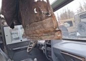 Samochód ciężarowo-osobowy wysokiej mobilności HONKER 2000 typ 2424 (z wciągarką) 