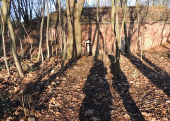 5_Dzialka_przy_ul._Polnej_w_Toruniu__fot._OR_Bydgoszcz.jpg 