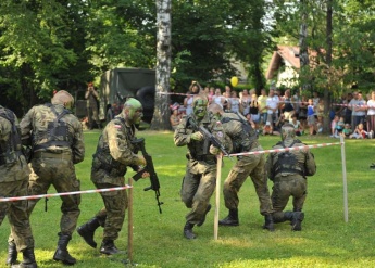 Military Festival 2013 