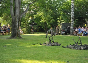 Military Festival 2013 
