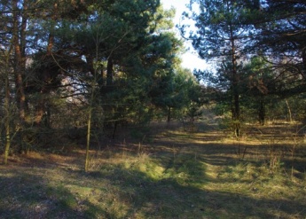 Wykaz nieruchomości przeznaczonych do sprzedazy w drodze przetargu ustnego nieograniczonego komorowo 2003/6 - zdjęcie 4 