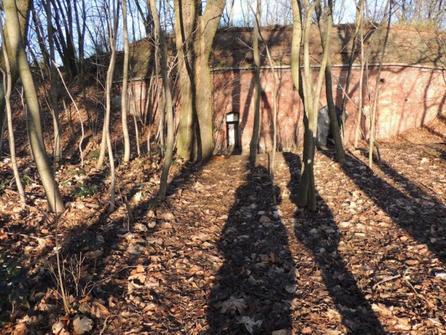 5_Dzialka_przy_ul._Polnej_w_Toruniu__fot._OR_Bydgoszcz.jpg 