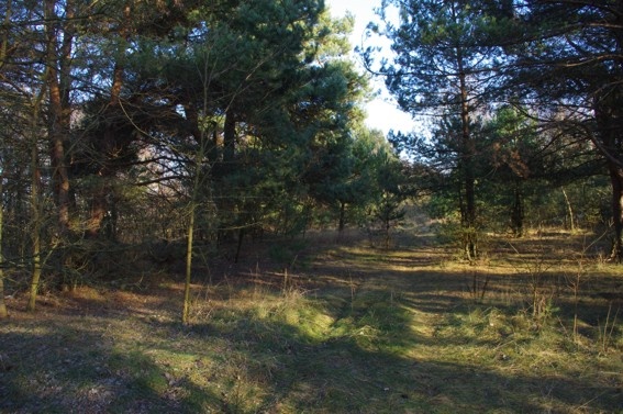 Wykaz nieruchomości przeznaczonych do sprzedazy w drodze przetargu ustnego nieograniczonego komorowo 2003/6 - zdjęcie 4 